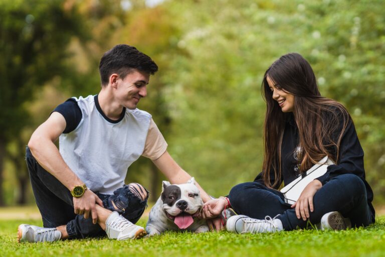 Two people sitting in a park with an American Bully dog calmly lying between them