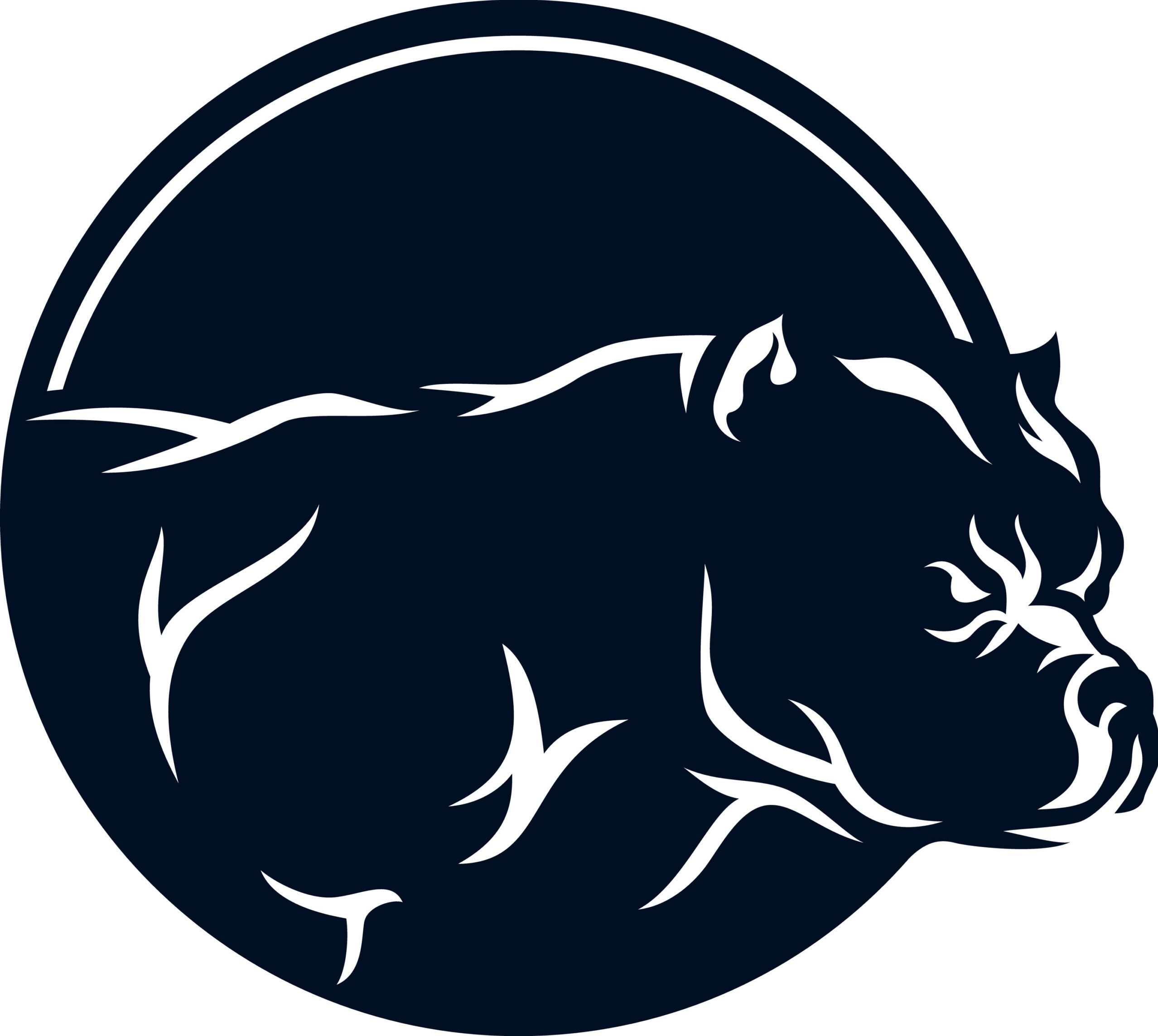 AMERICAN BULLY BREED